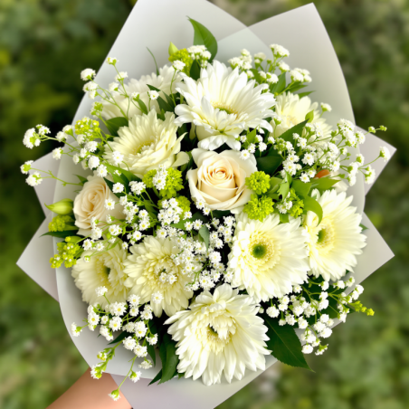 Čistá elegance - střední