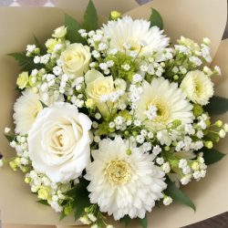 Čistá elegance - luxusní